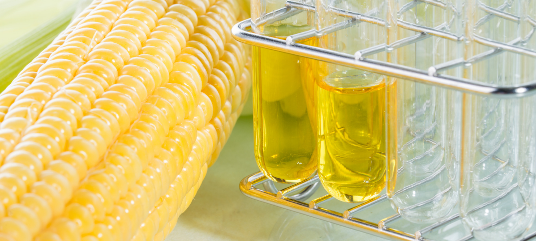 17 Compelling Pros and Cons of High Fructose Corn Syrup