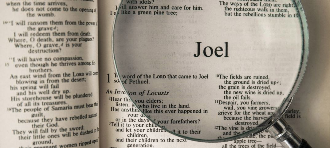 Joel 2:25 Meaning