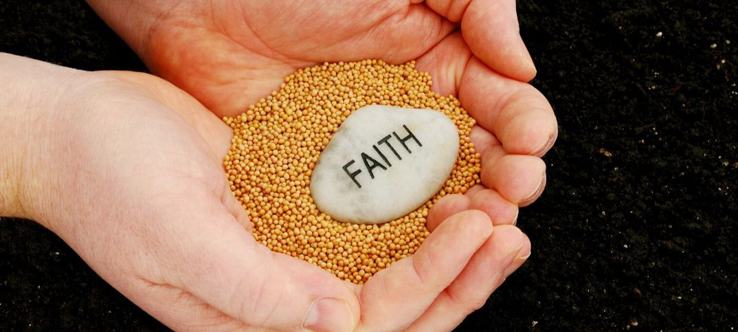 Matthew 17 20 Meaning Of Faith Of A Mustard Seed ConnectUS