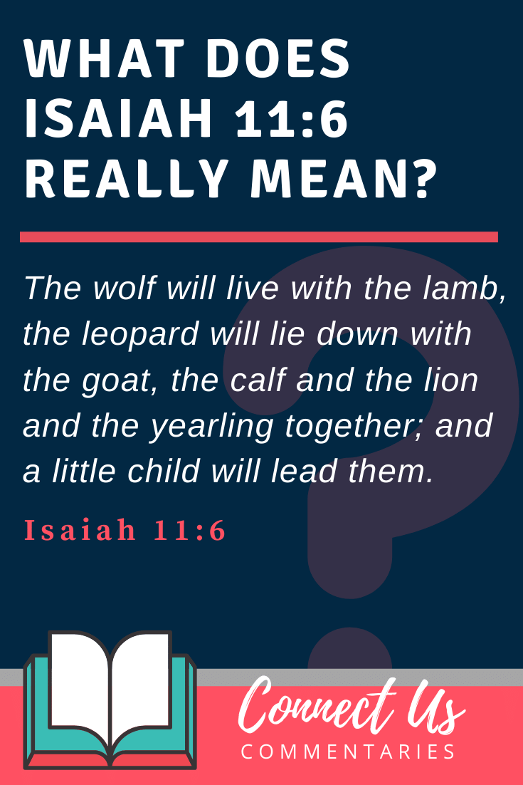 Isaiah 11 6 Meaning Of And A Little Child Will Lead Them ConnectUS