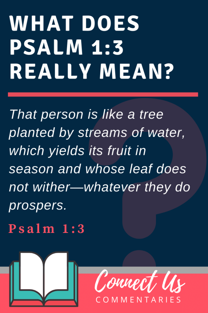 Psalm 1 3 Meaning Of Tree Planted By Streams Of Water ConnectUS meditate-on-god-s-word-with-psalm-1-2-3-and-a-prayer-bible-psalms
