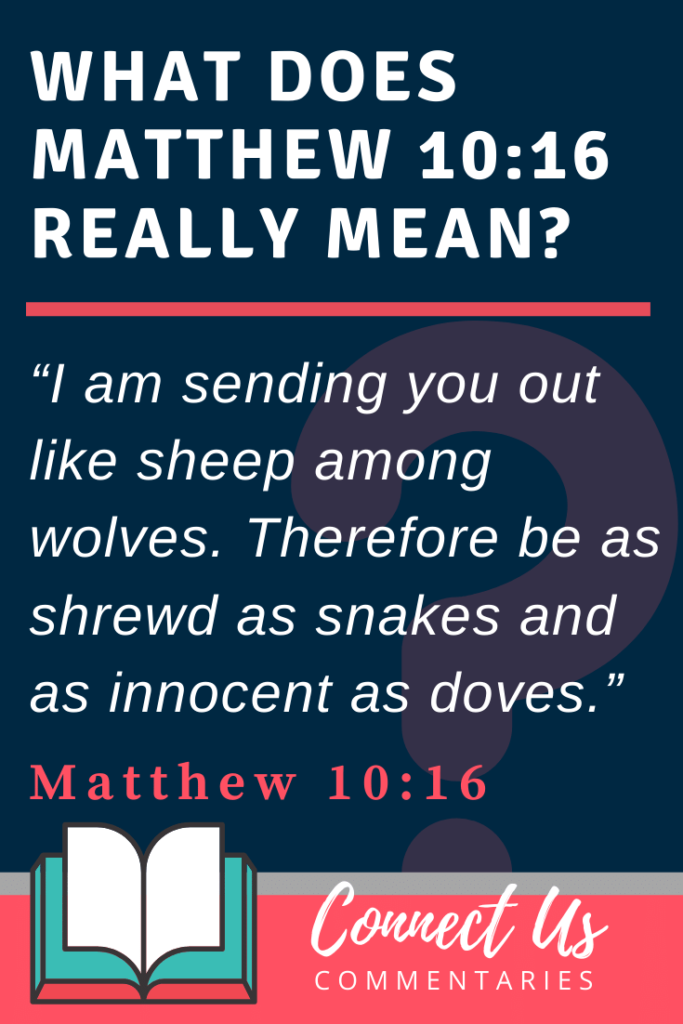 matthew-10-16-meaning-of-sheep-among-wolves-connectus