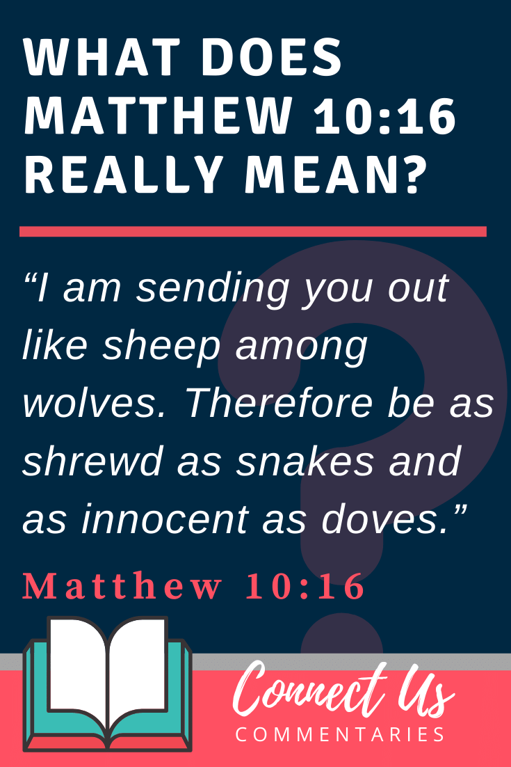 Matthew 10:16 Meaning and Commentary