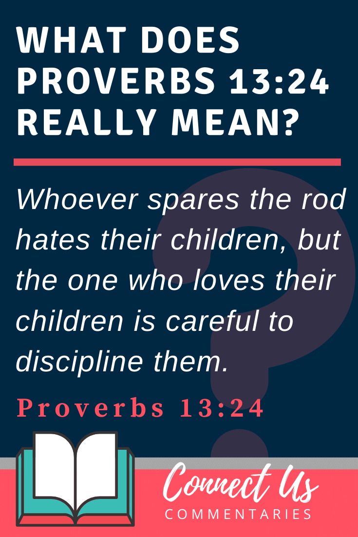 Proverbs 13:24 Meaning and Commentary