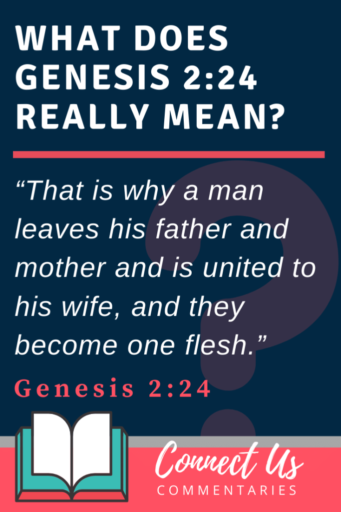 genesis-2-24-meaning-of-they-become-one-flesh-connectus