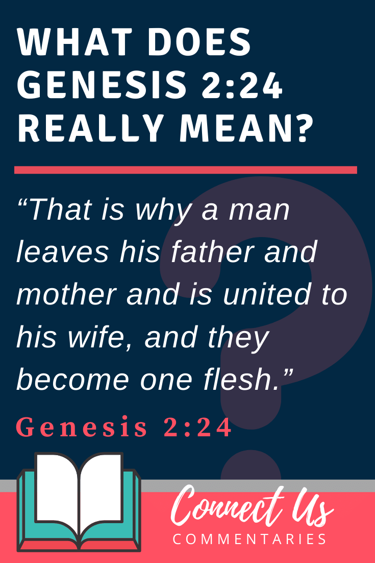 Genesis 2 24 Meaning Of They Become One Flesh ConnectUS