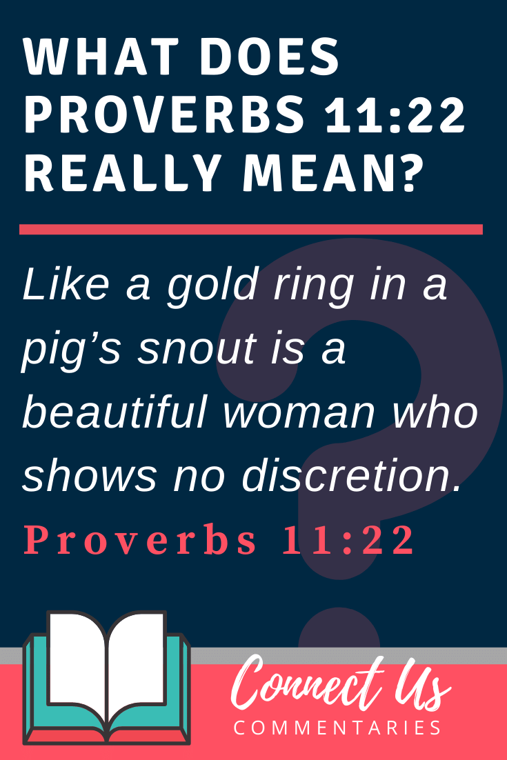 Proverbs 11:22 Meaning and Commentary