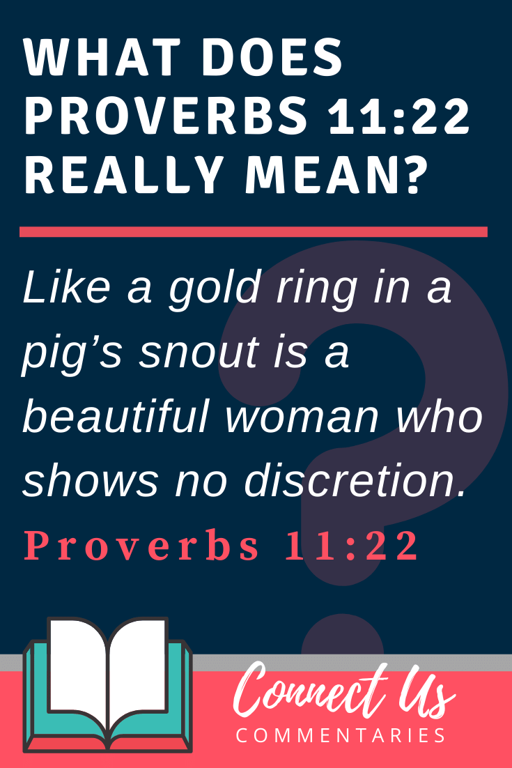 Proverbs 11 22 Meaning Of A Gold Ring In A Pig s Snout ConnectUS