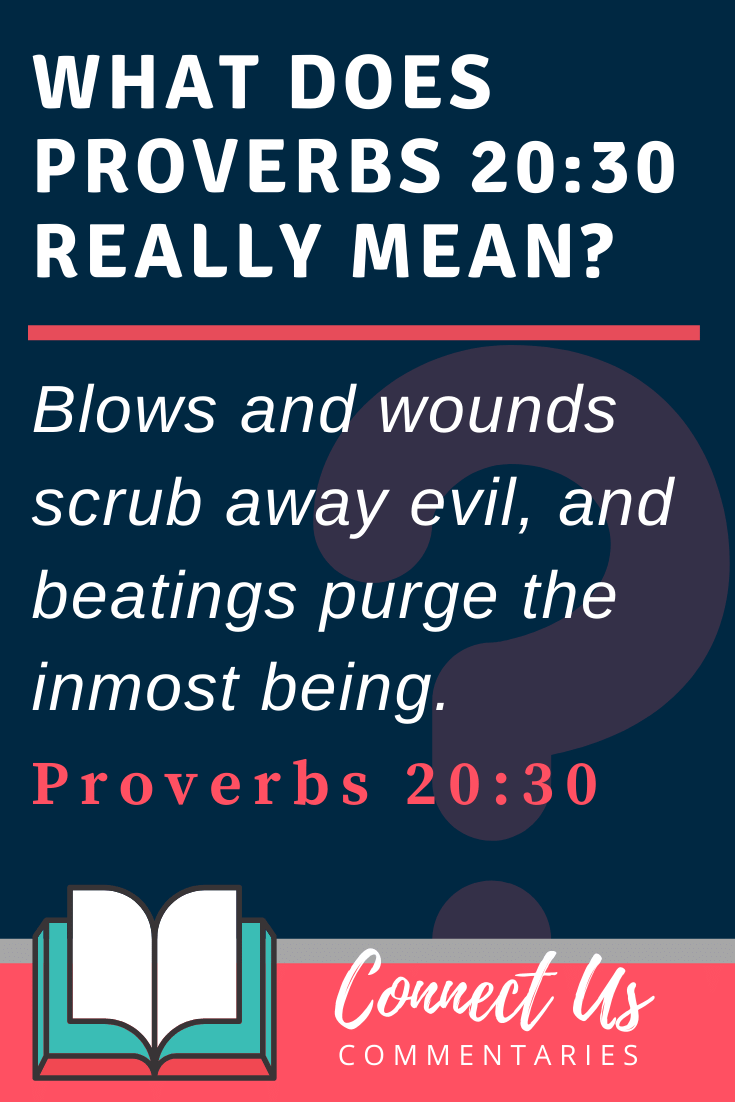 Proverbs 20:30 Meaning and Commentary
