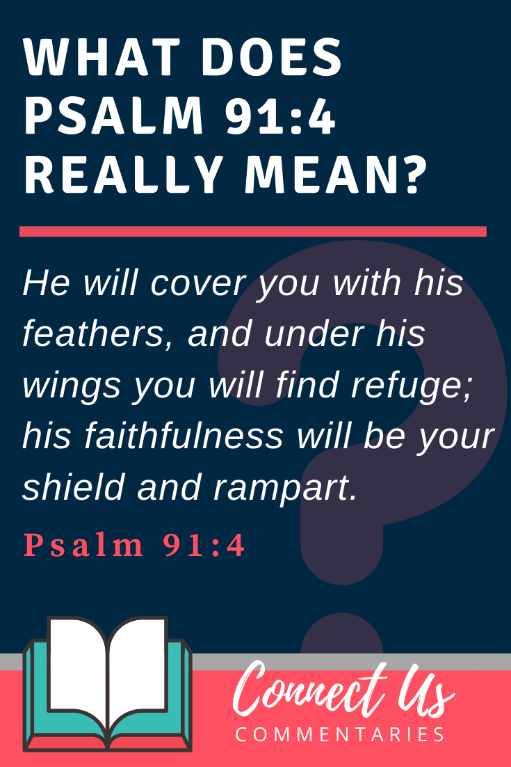 Psalm 91 4 Meaning Of Under His Wings ConnectUS