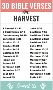 30 Uplifting Bible Scriptures on Harvest – ConnectUS