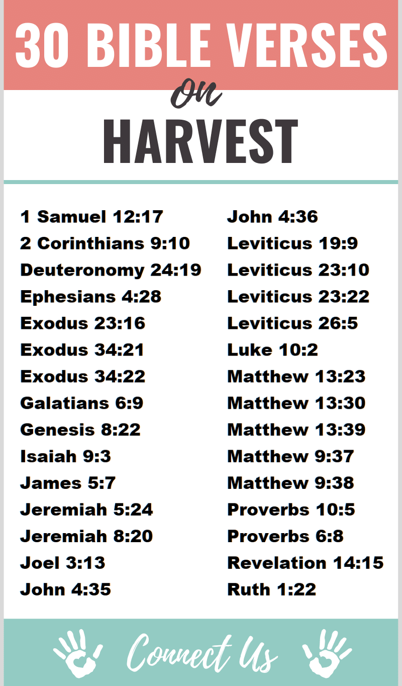 Bible Verses on Harvest