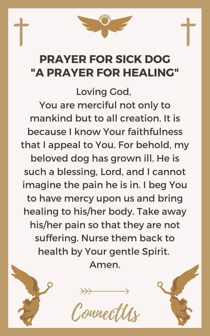 Prayer For Dogs With Cancer - CHURCHGISTS.COM