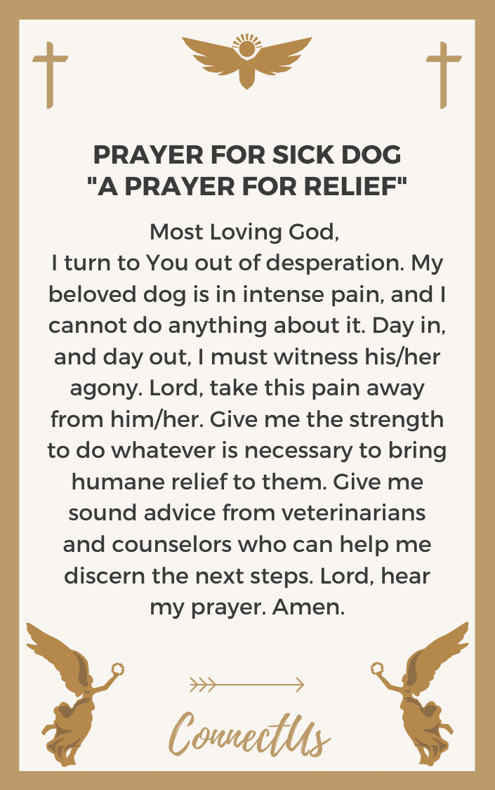 15 Powerful Prayers For Sick Dog Connectus