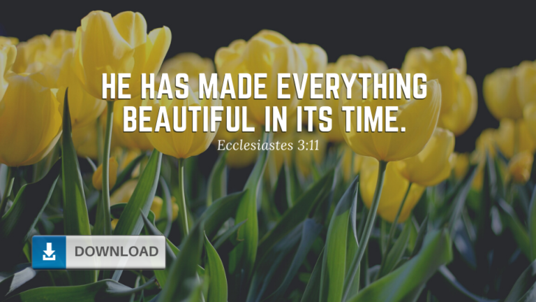 12 Free Bible Study Lessons on Ecclesiastes – ConnectUS