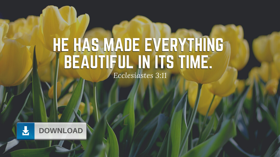 Ecclesiastes 3:11 Wallpaper