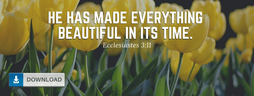 Flowers Bible Verse Fb Cover