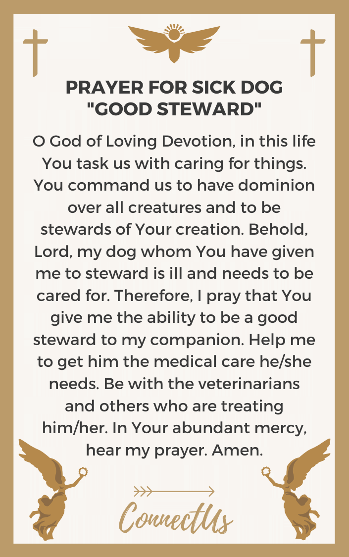 a good steward