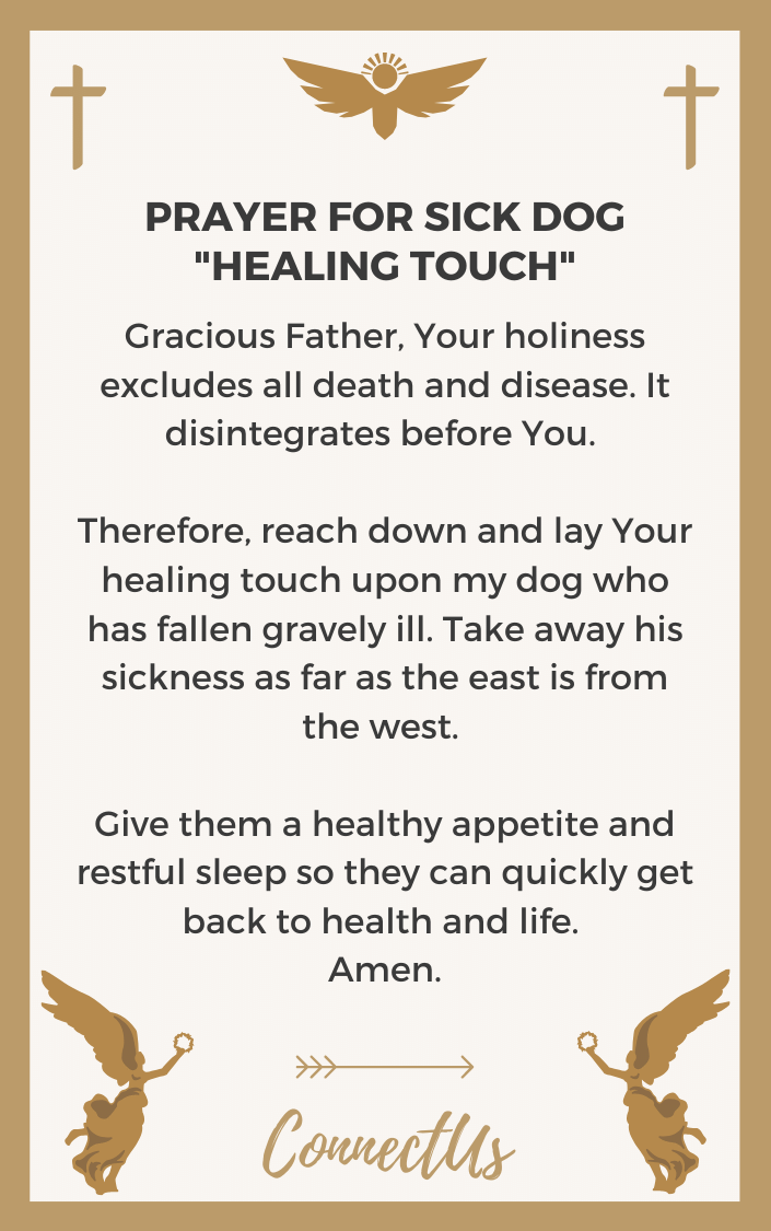 healing-touch