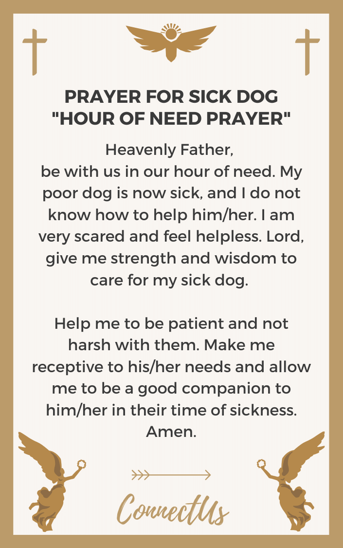 15 Powerful Prayers for Sick Dog – ConnectUS