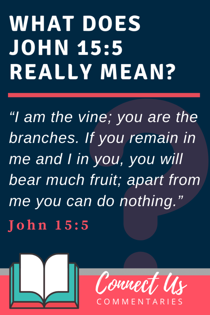 john-15-5-meaning-of-i-am-the-vine-you-are-the-branches-connectus