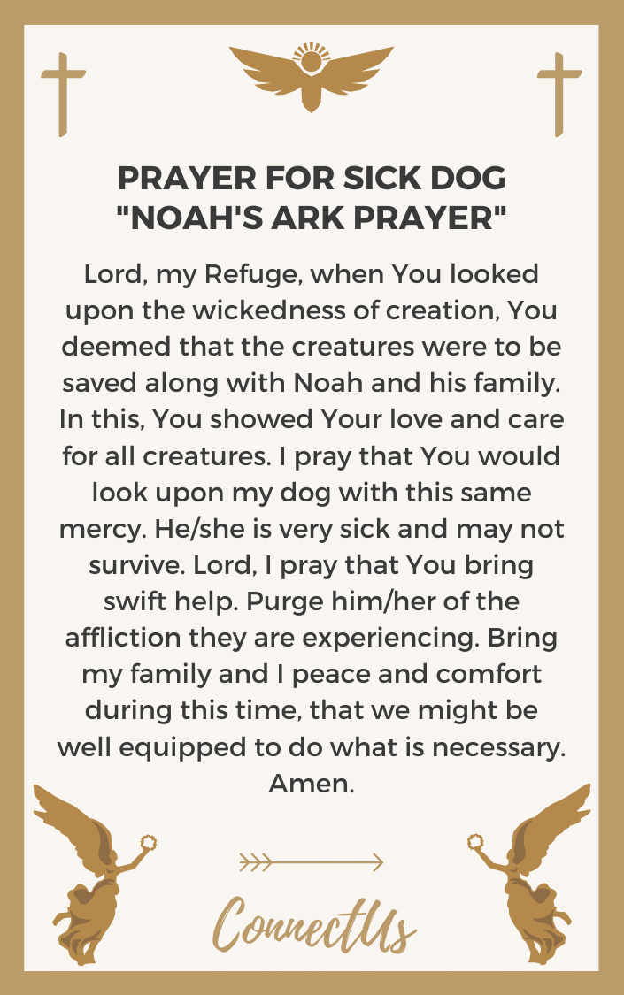 noahs-ark-oración