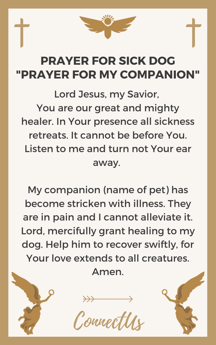 prayer-for-my-companion