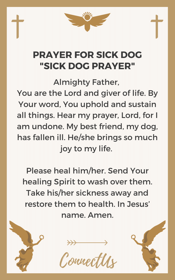 15 Powerful Prayers For Sick Dog Connectus