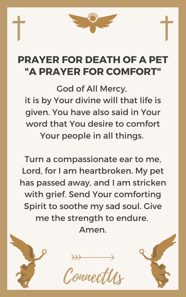 10 Uplifting Prayers For Death Of A Pet Connectus