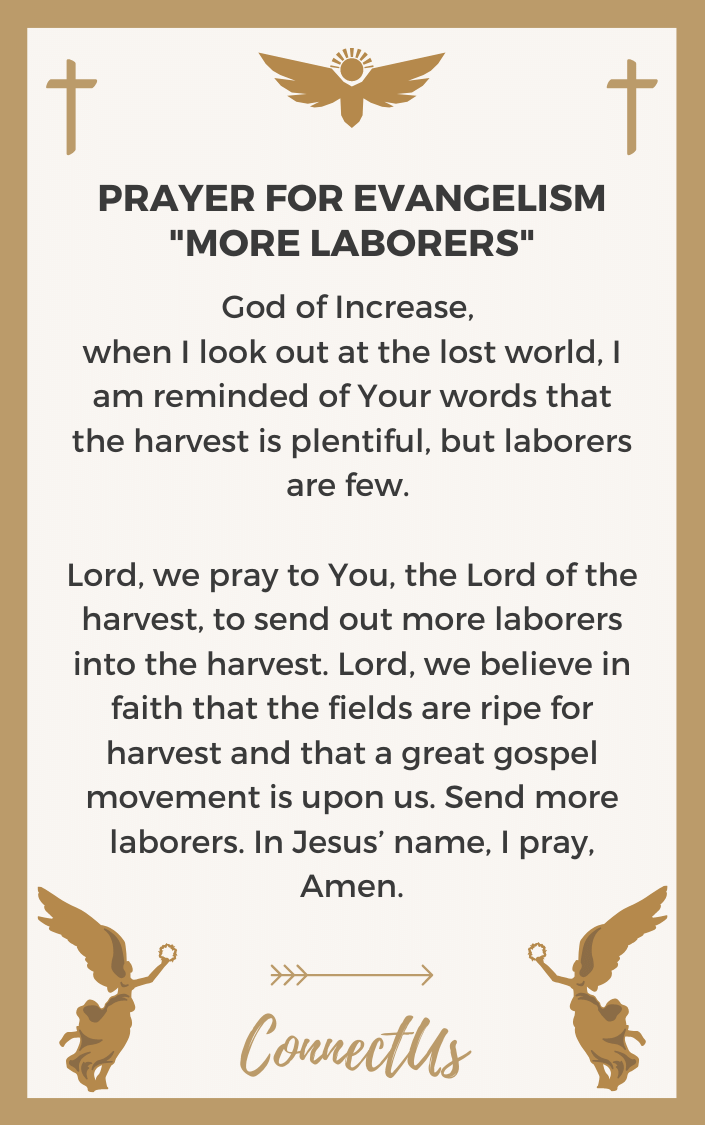 more-laborers