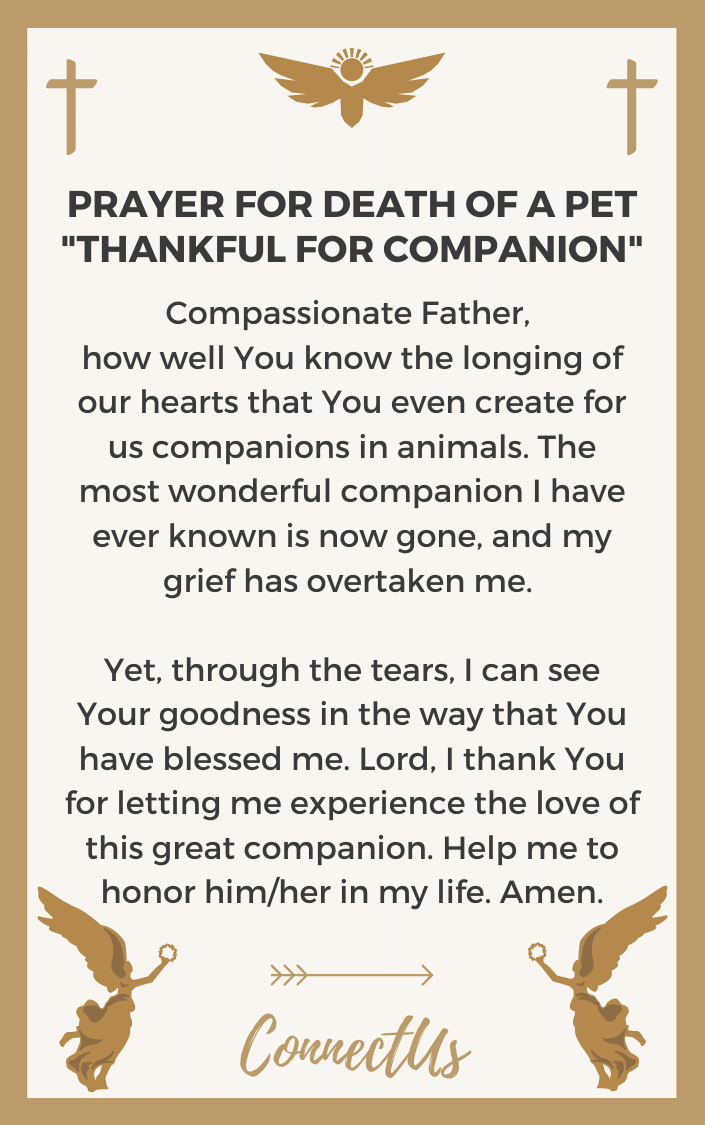 thankful-for-companion