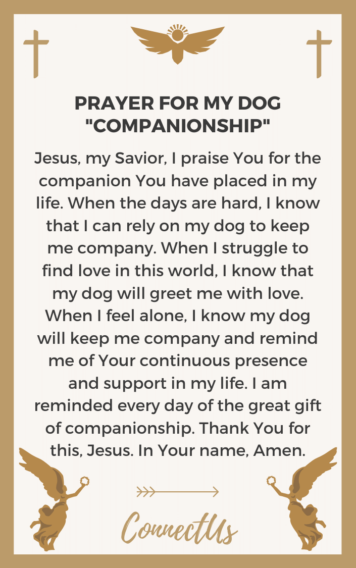 companionship