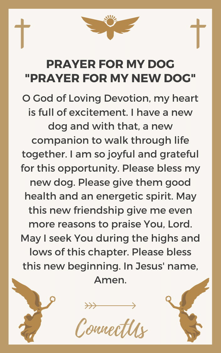 prayer-for-my-new-dog