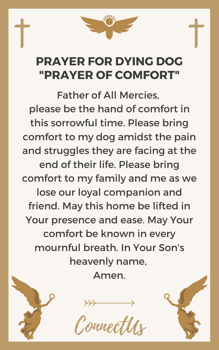 prayer-of-comfort