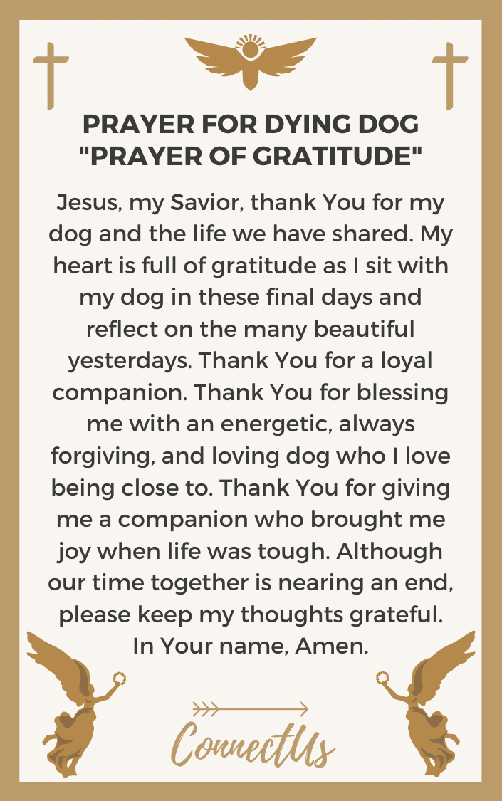 prayer-of-gratitude