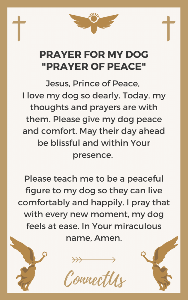 10 Powerful Prayers for My Dog – ConnectUS