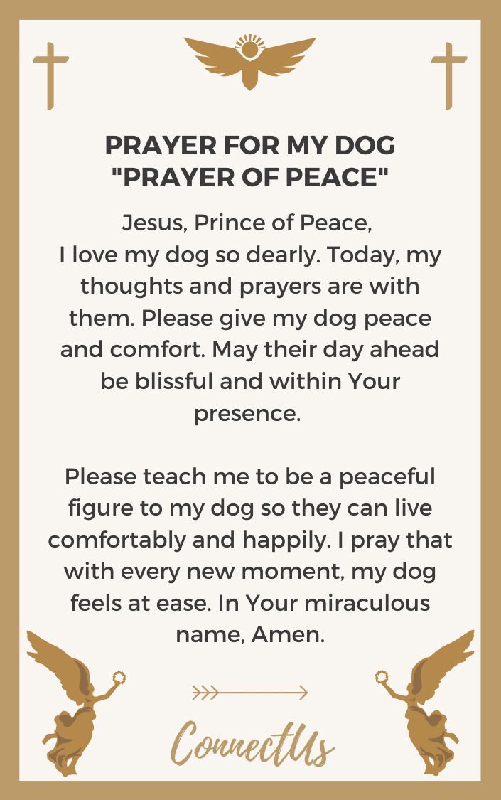 prayer-of-peace