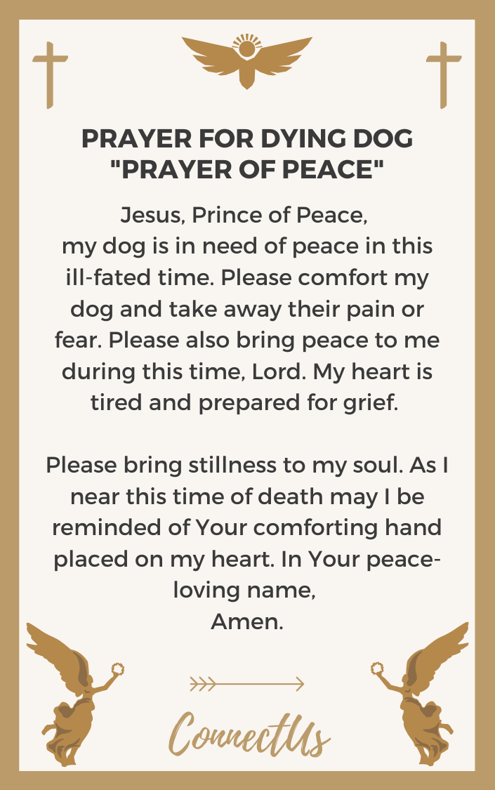prayer-of-peace