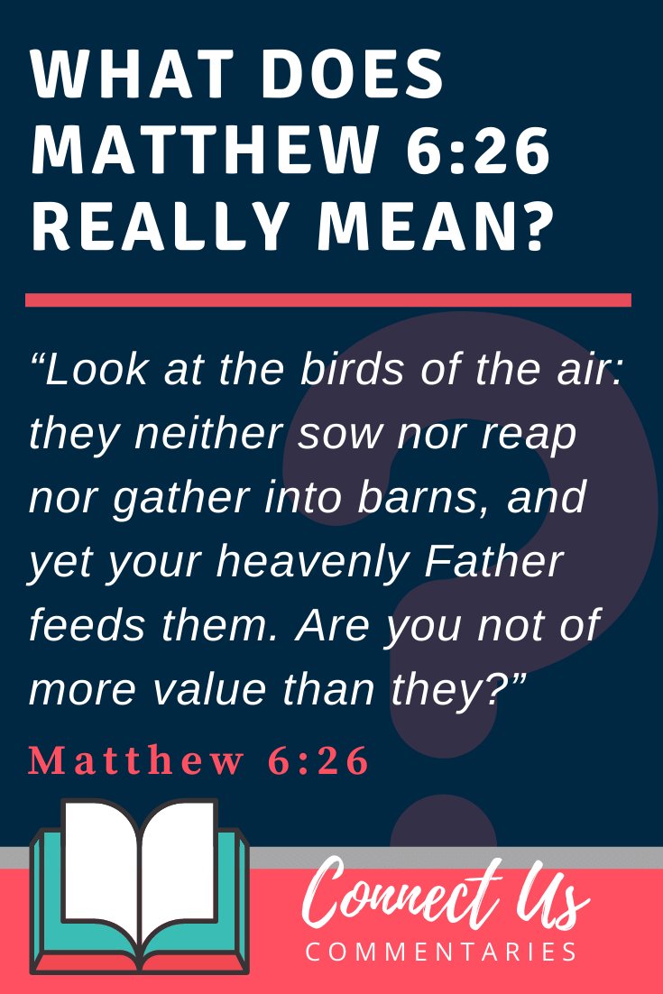 Matthew 6:26 Meaning and Commentary