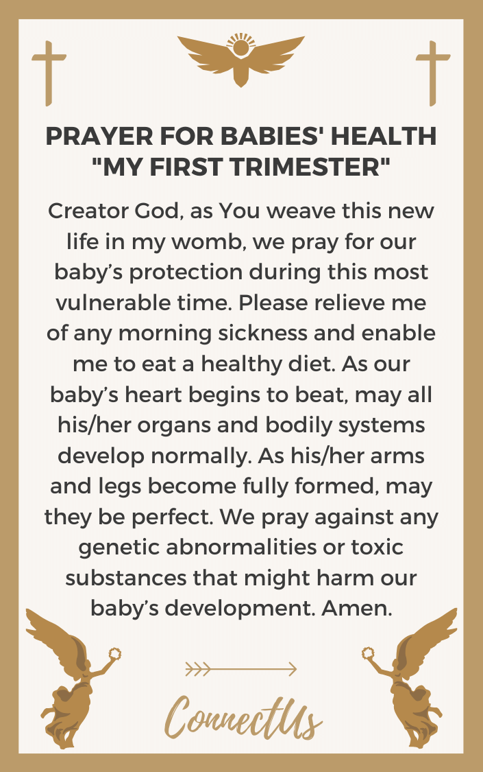 my-first-trimester