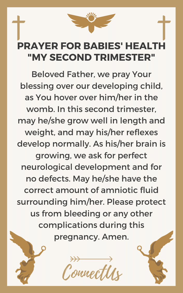 my-second-trimester
