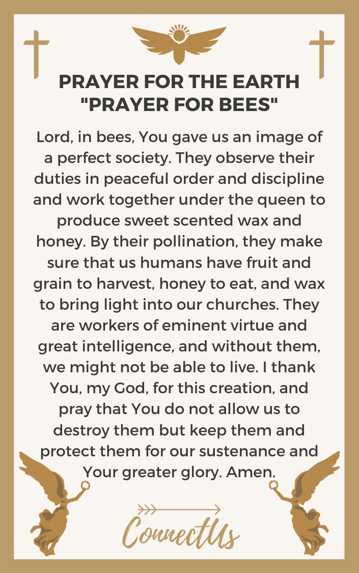 prayer-for-bees