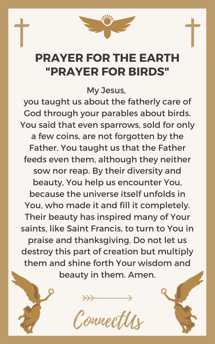 prayer-for-birds