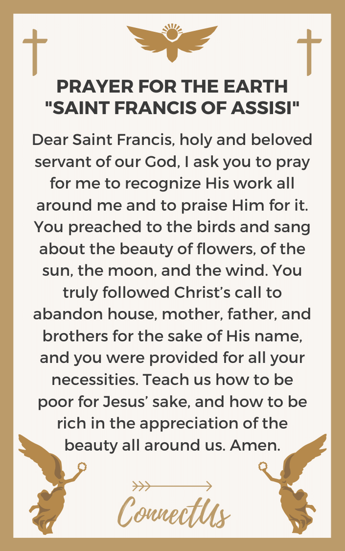 saint-francis-of-assisi